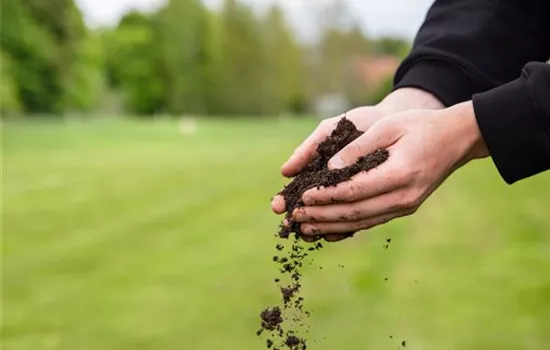 Der Gartenboden: Bodenarten und was sie bedeuten